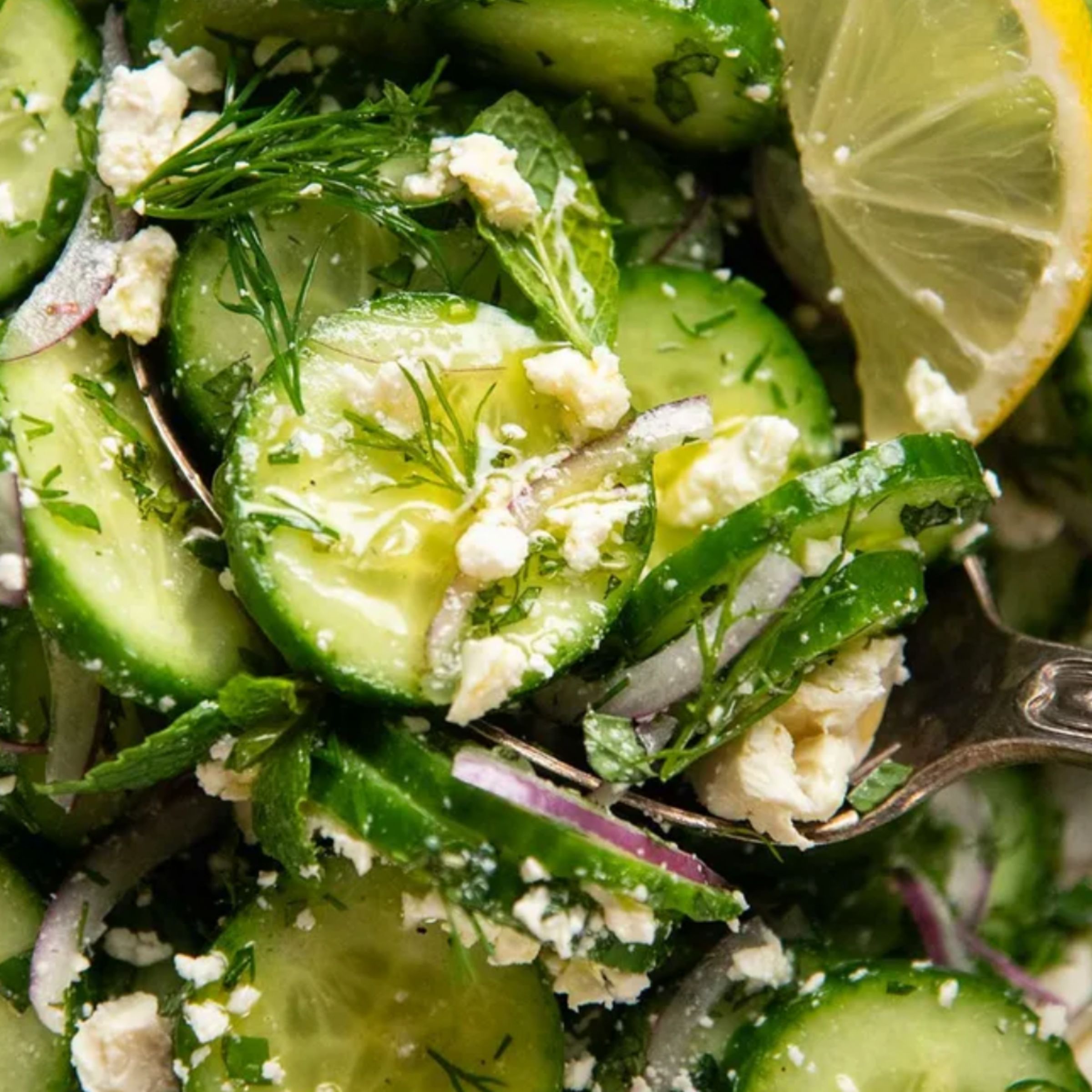 Salad